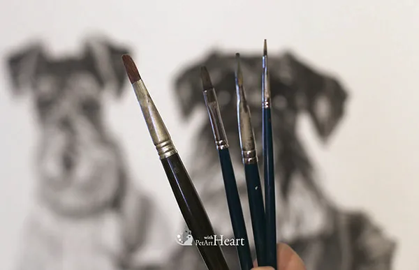 Paint brushes in front of pet portrait