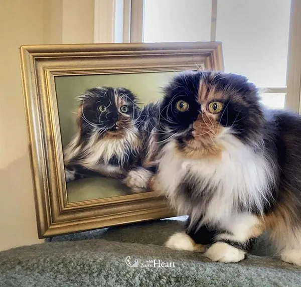 Kundfoto: katt med porträtt
