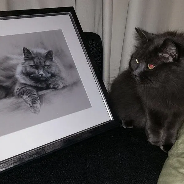 Fluffan client testimonial