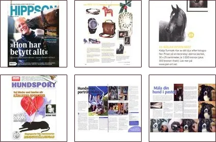 Pet portrait artist Katja featured in Hundsport and Hippson magazines