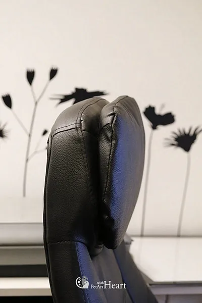 Chair in portrait studio
