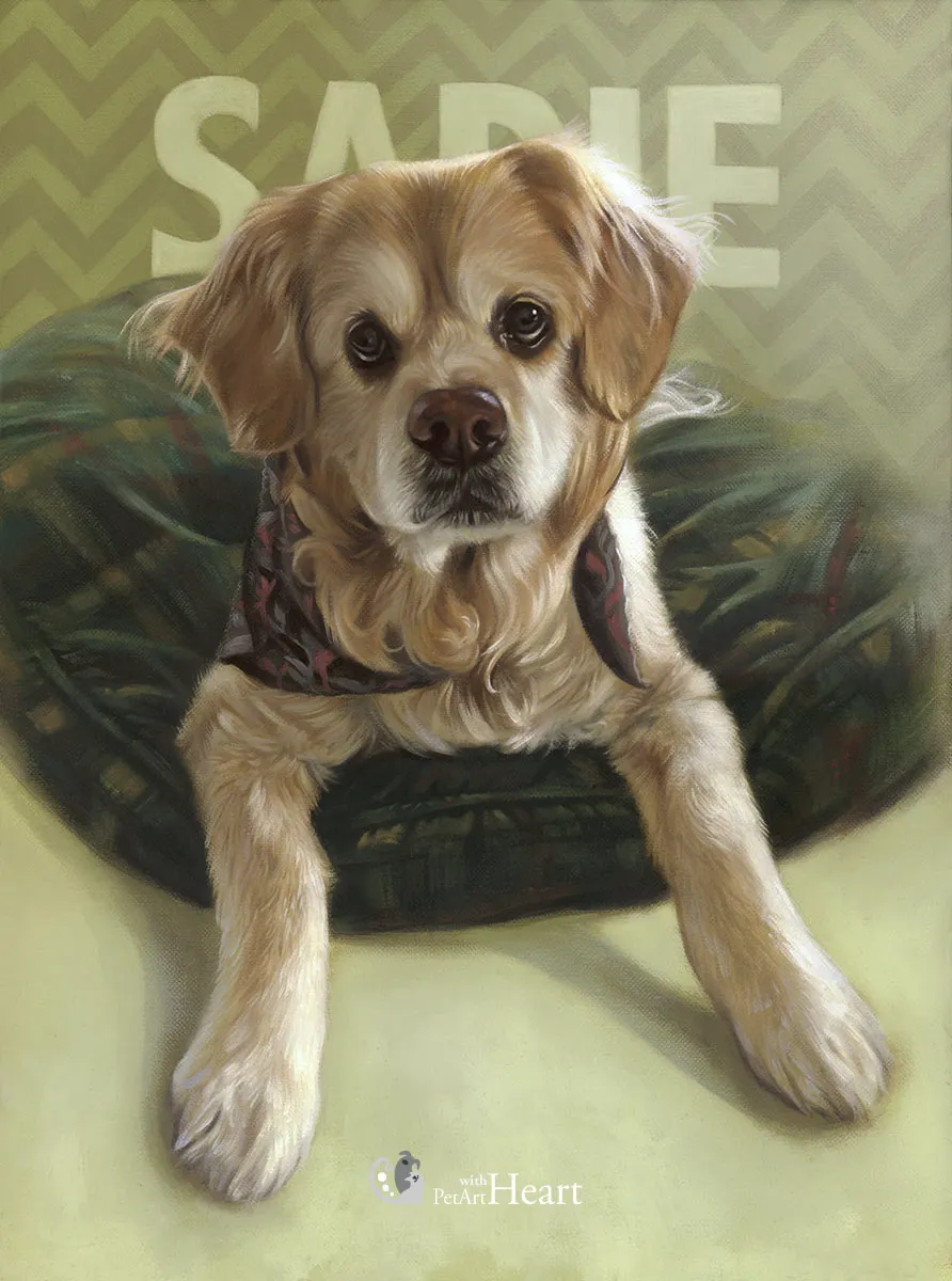 Dog Sadie