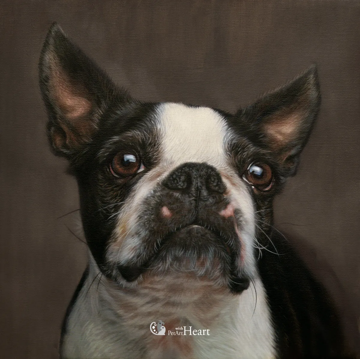 Dog Bella