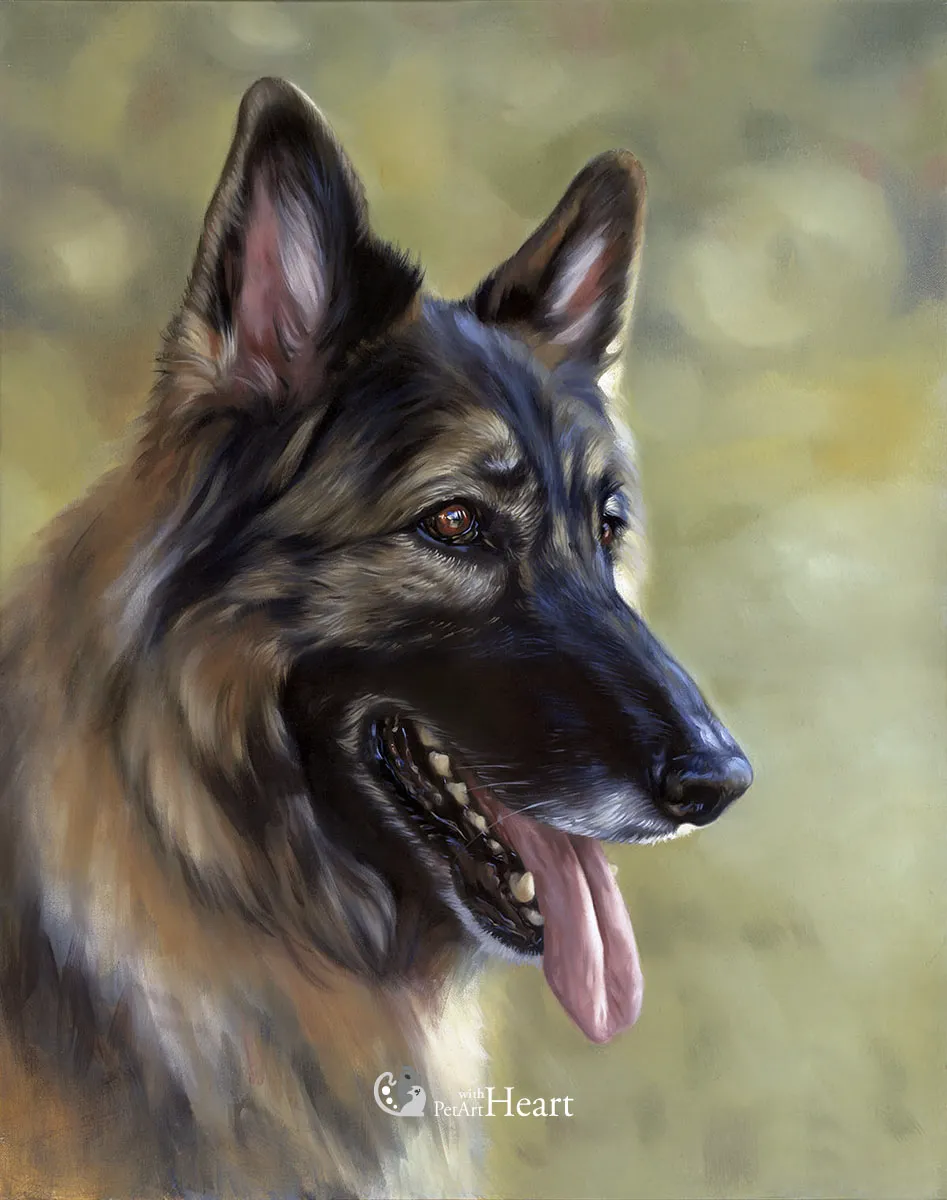 Dog Georgie