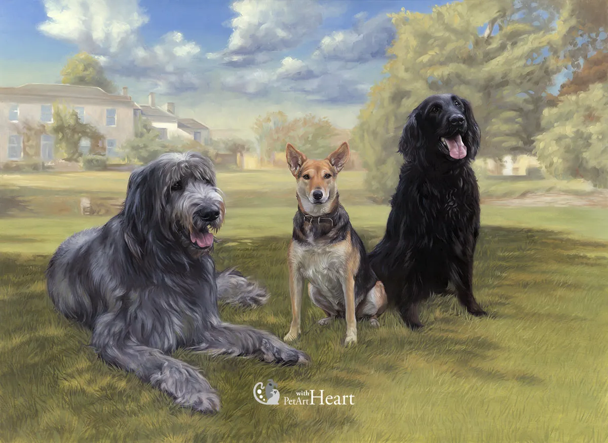 Dogs Midge, Finnegan and Morgan