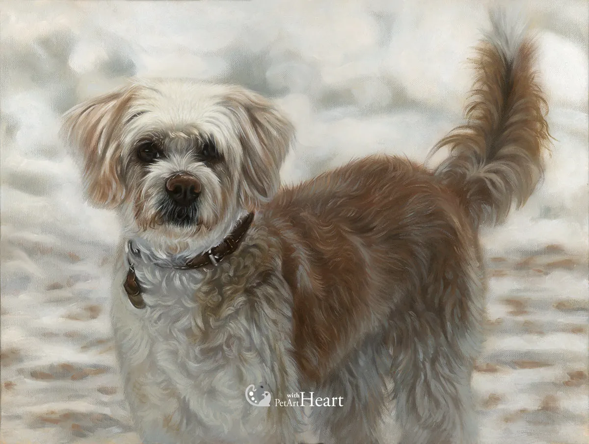 Dog Viruta