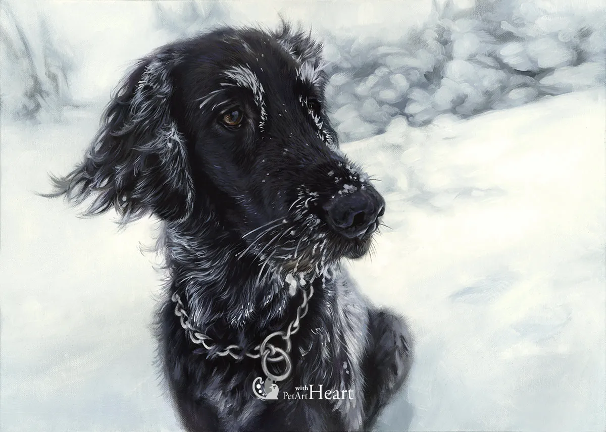 Dog Laddie