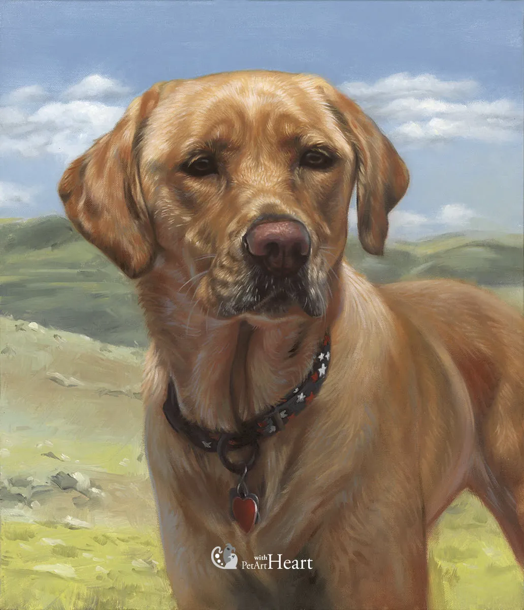 Dog Mazie