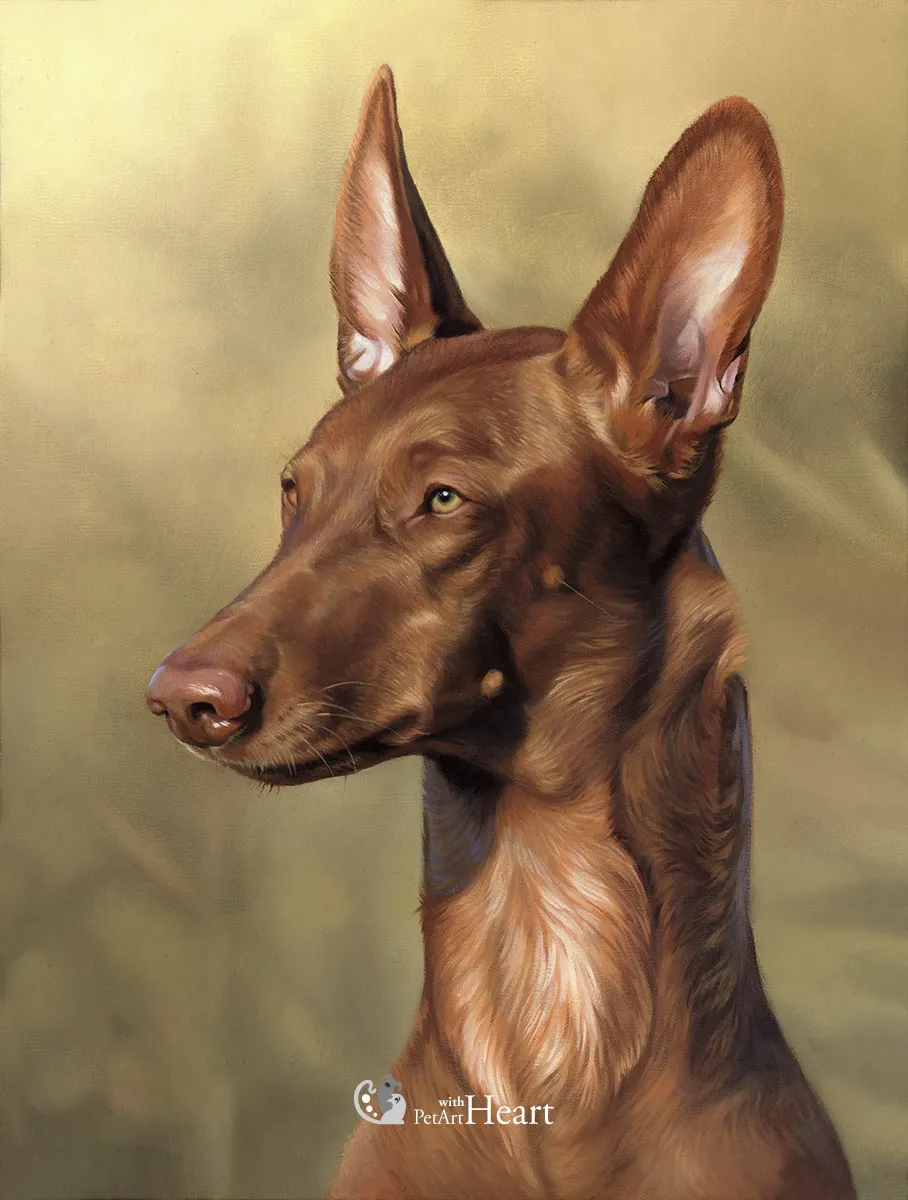 Dog Vilda