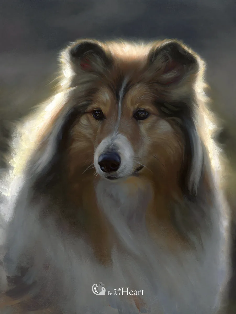 Dog Maggie