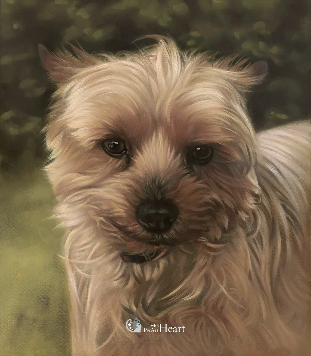Dog Ferguson