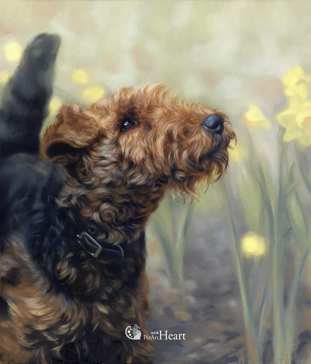 Dog Daisy